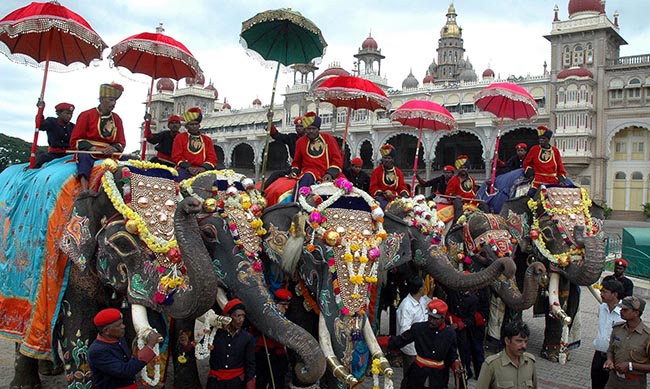 Dasara elephants being welcomed for Mysore dasara festival at Palace in Mysore on Monday.-KPN