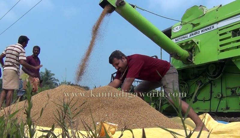 bhatta_krashi_problem-9