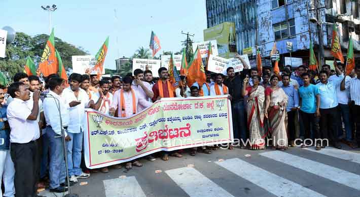 bjp_protest_photo_2