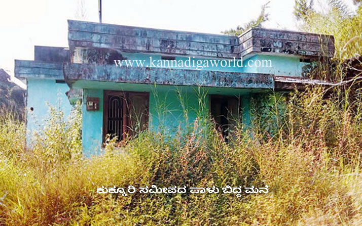 cheeta_problum_bajpe_2