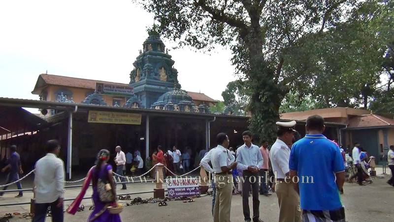 kundapura_aanegudde_vahana-pooje-6