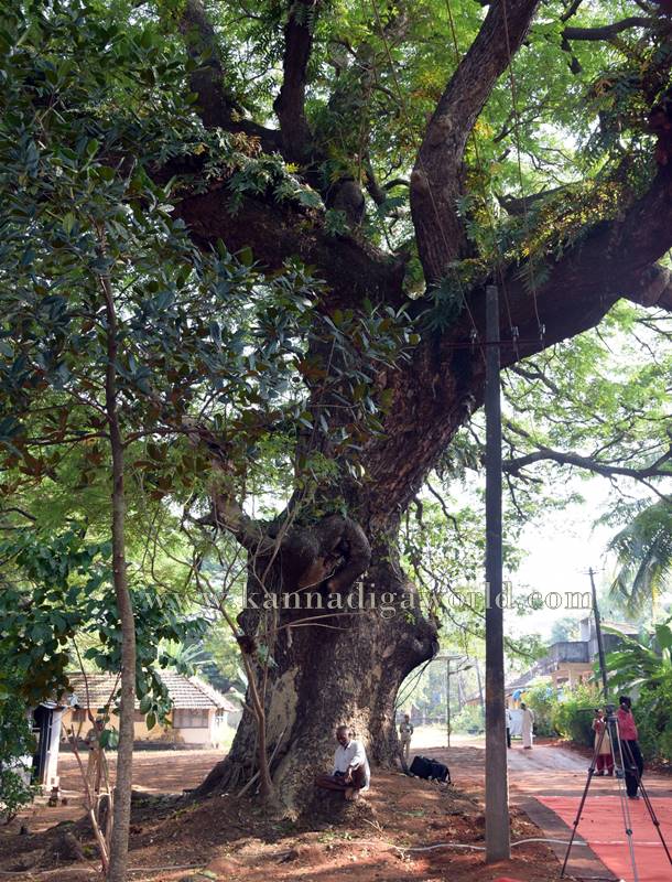 udupi_governament_new-hospital-7