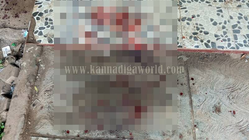 udupi_padubidri_halle-1