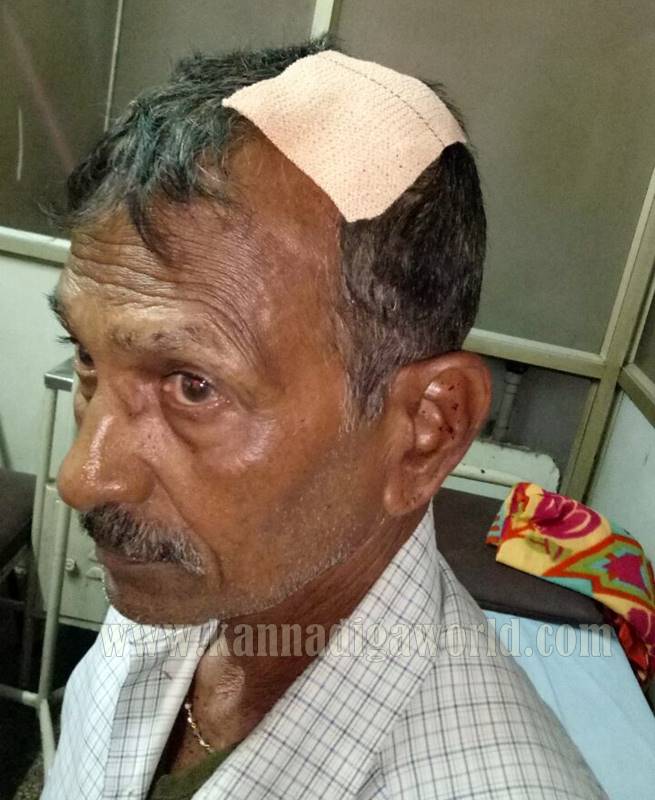 udupi_padubidri_halle-2