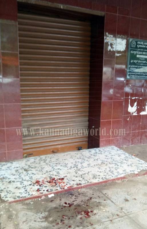 udupi_padubidri_halle-3