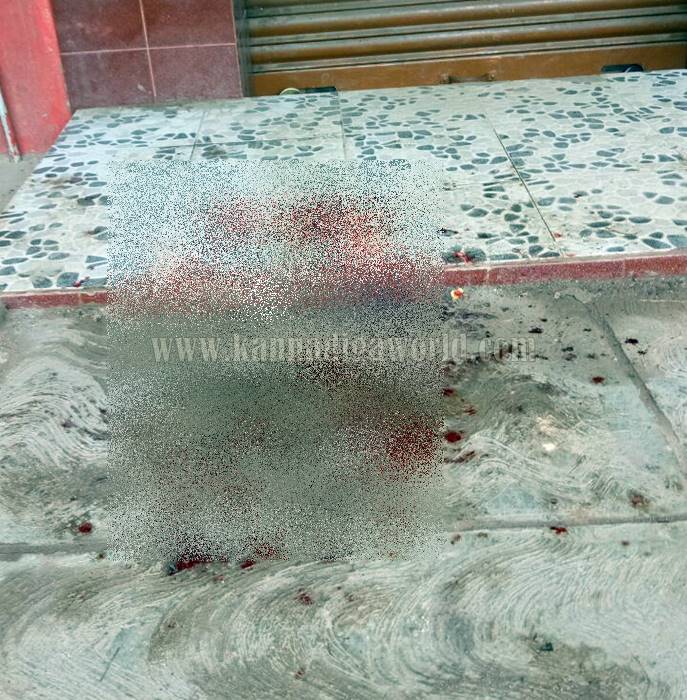 udupi_padubidri_halle-4