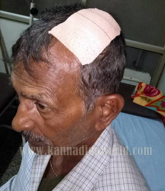 udupi_padubidri_halle-5