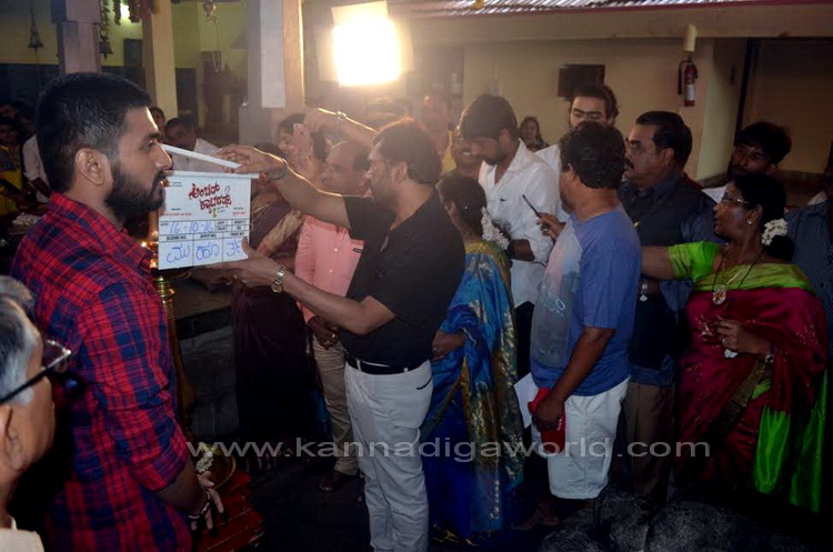 amber_cattres_mahurta4