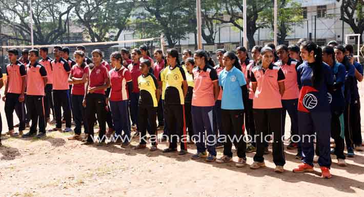 valyball_mayor_cup_13