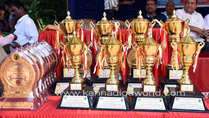 valyball_mayor_cup_3