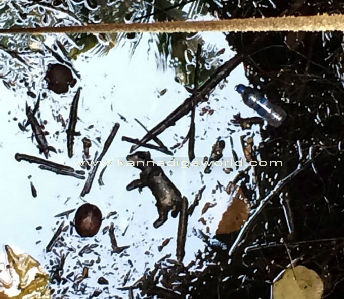 canara_colg_protest_4