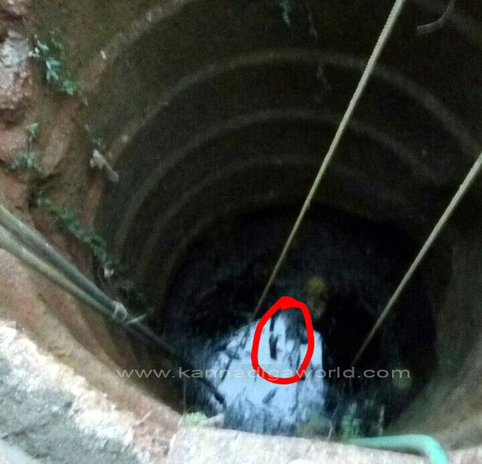 canara_colg_protest_7