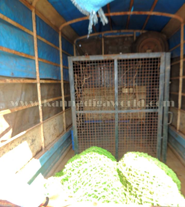 kundapura_-chirate_wel-10