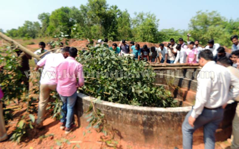 kundapura_-chirate_wel-12