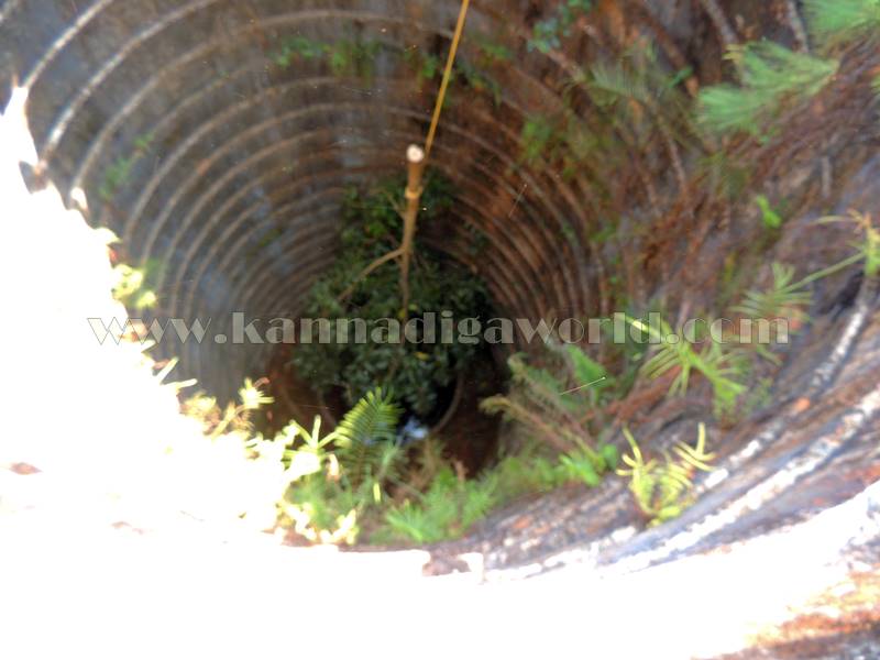 kundapura_-chirate_wel-16