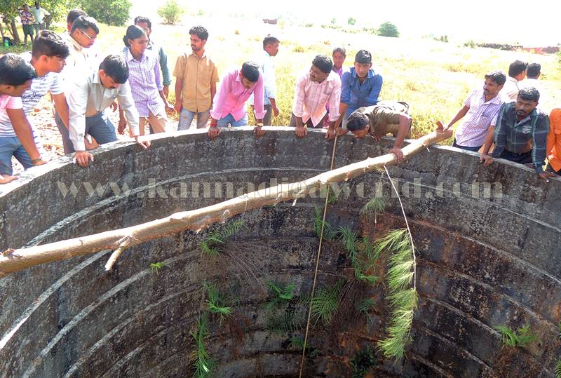 kundapura_-chirate_wel-7