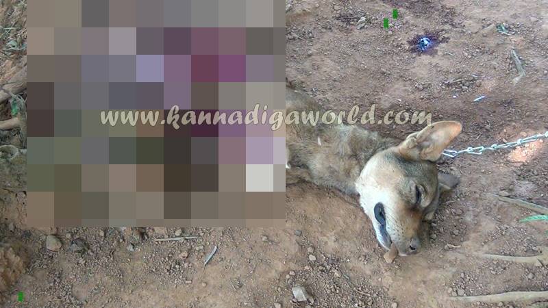 kundapura_cheetha-attack_dog-death-2