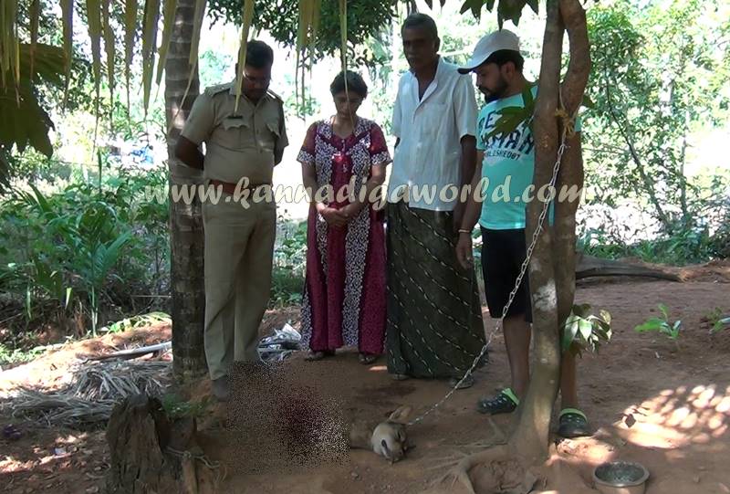 kundapura_cheetha-attack_dog-death-4