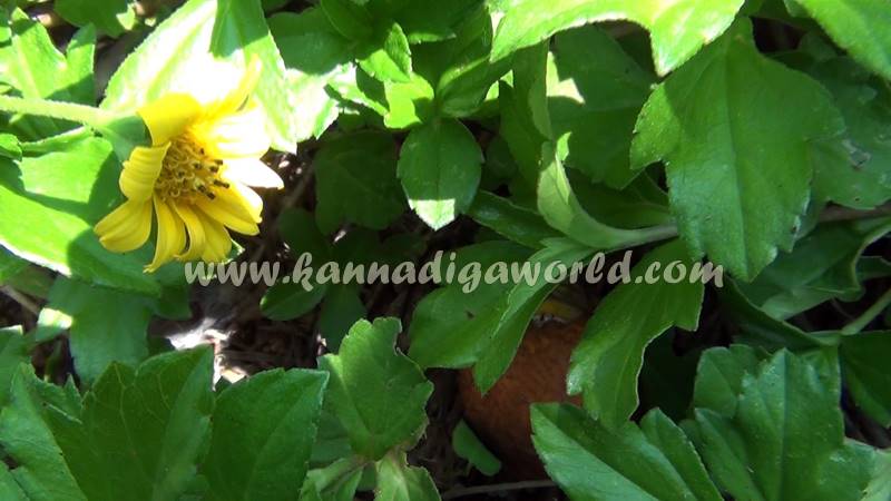 kundapura_dhanalakshmi_problem-1