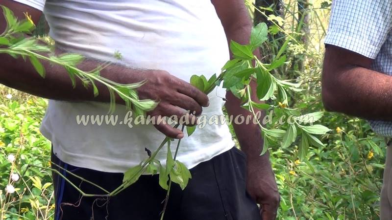 kundapura_dhanalakshmi_problem-10