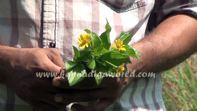 kundapura_dhanalakshmi_problem-11