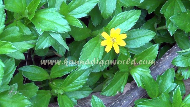 kundapura_dhanalakshmi_problem-3