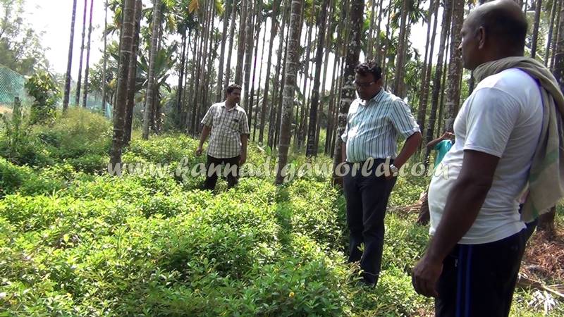 kundapura_dhanalakshmi_problem-6