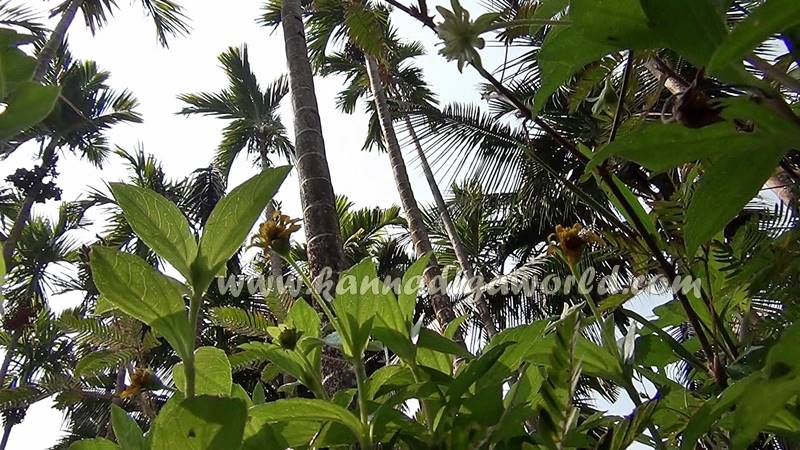 kundapura_dhanalakshmi_problem-8