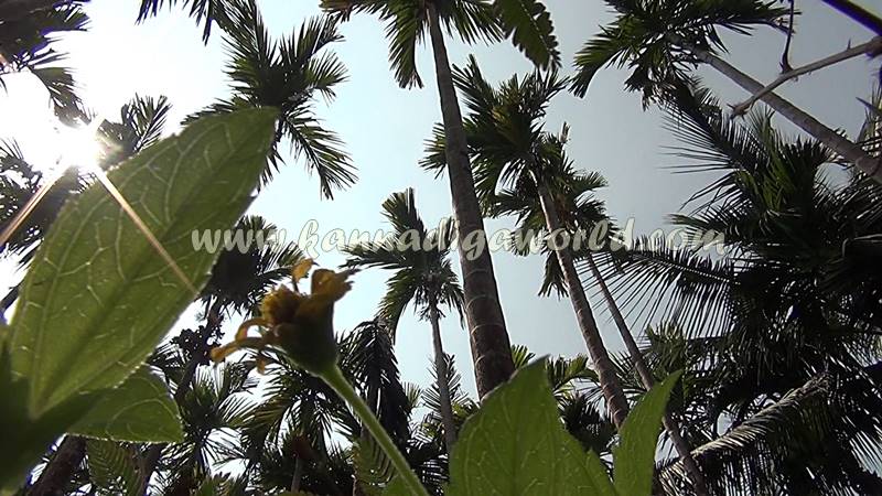 kundapura_dhanalakshmi_problem-9