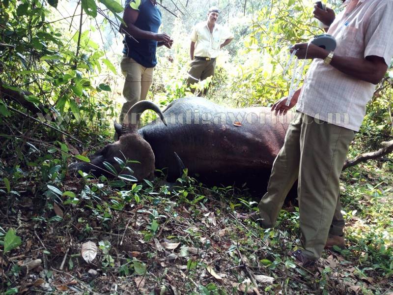 kundapura_kadukona_deadbody-1