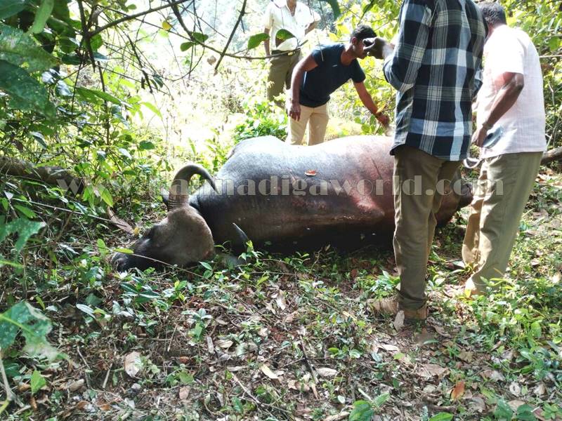 kundapura_kadukona_deadbody-4