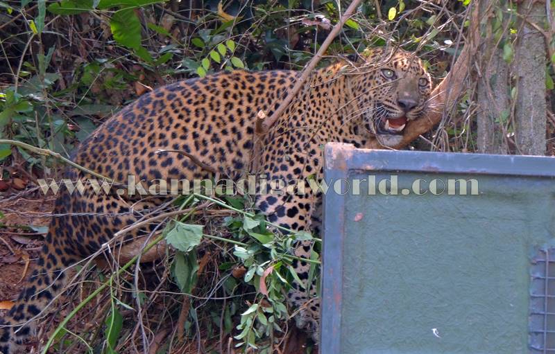 kundapura_operation_cheetha-11