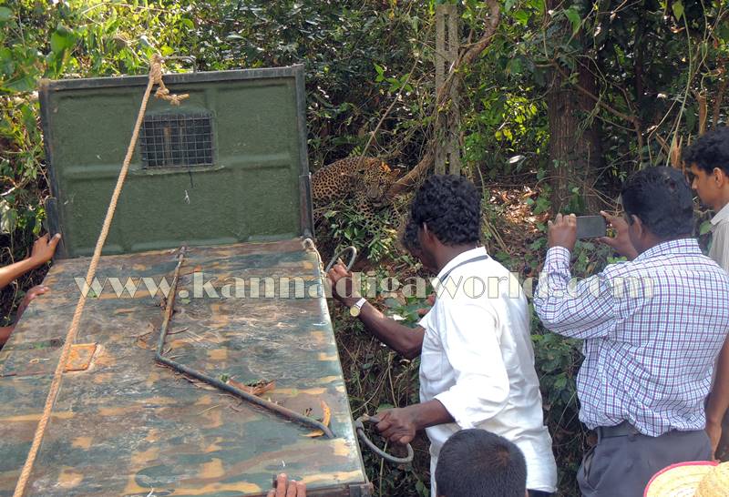 kundapura_operation_cheetha-16