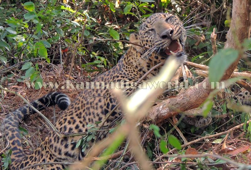 kundapura_operation_cheetha-19