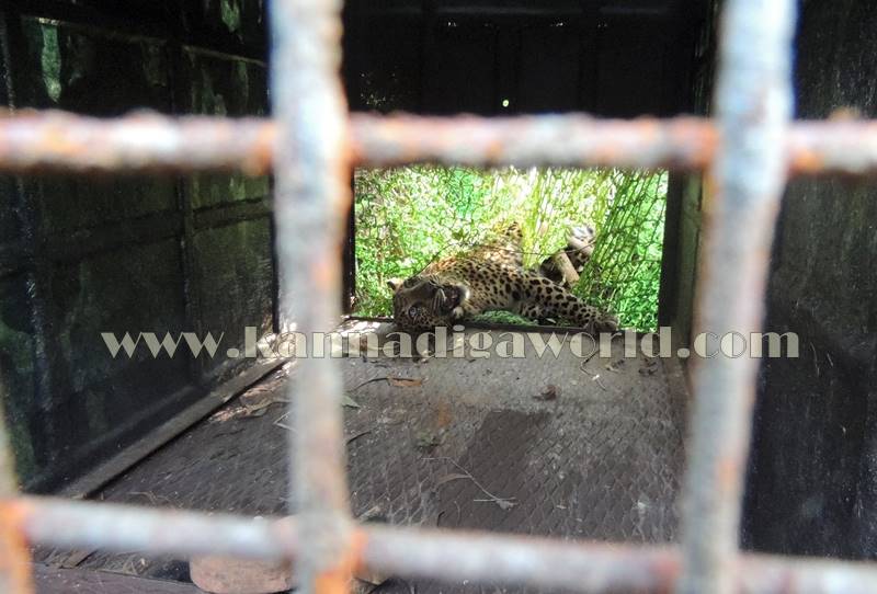 kundapura_operation_cheetha-22