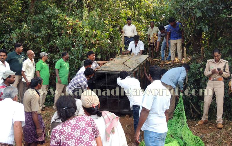 kundapura_operation_cheetha-25