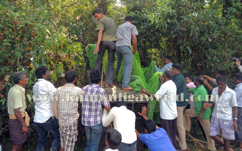 kundapura_operation_cheetha-3