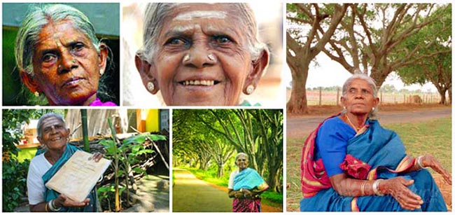 saalumarada-thimmakka