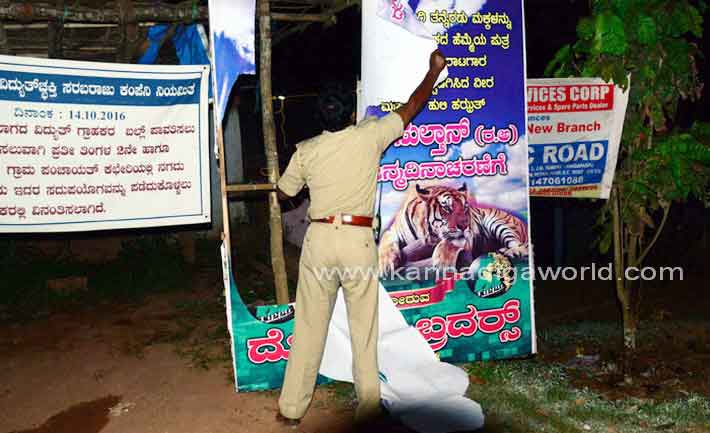 tippu_falex_teravu_1