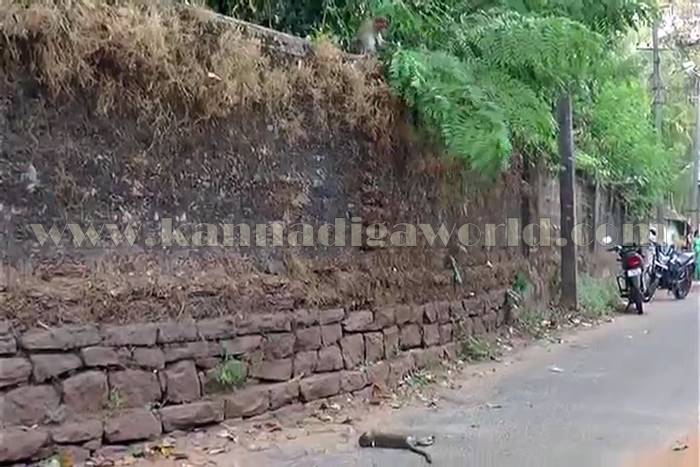 udupi_mangana_mamathe-2