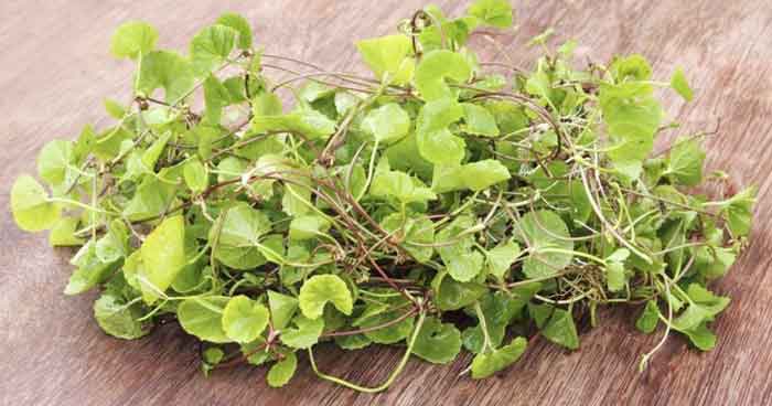 bharmi_ondelaga_timare