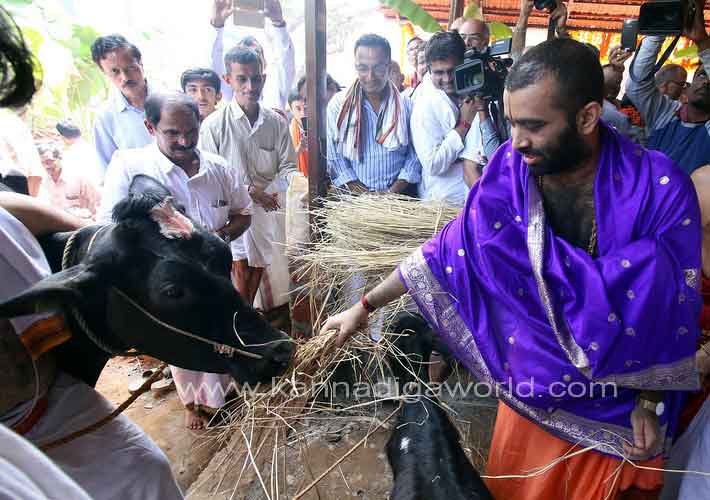 vruksh_vatika_photo_5