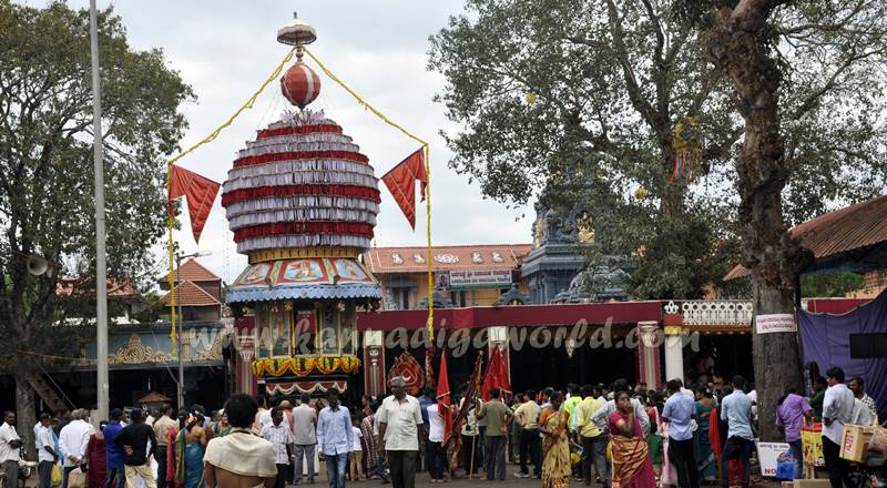 aanegudde_car-festival_2016-35