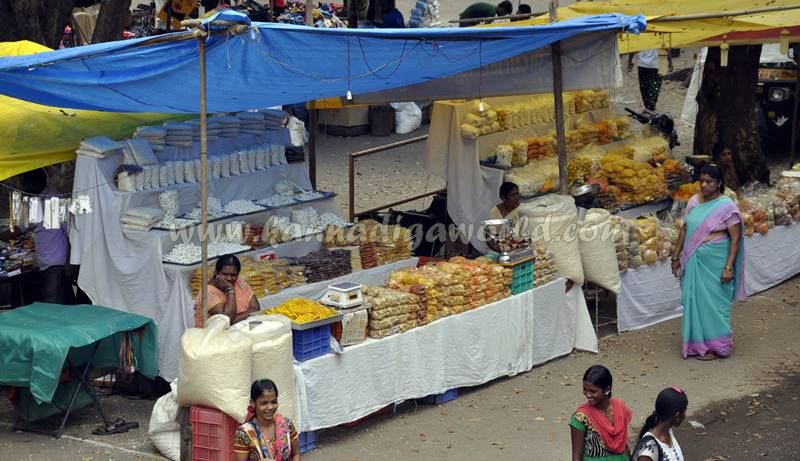 aanegudde_car-festival_2016-49