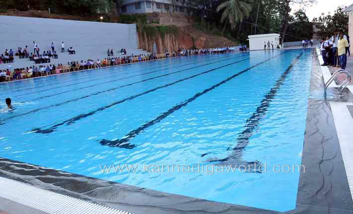 aloyuies_swimng_pool_10