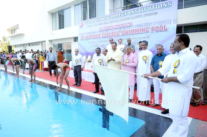 aloyuies_swimng_pool_2