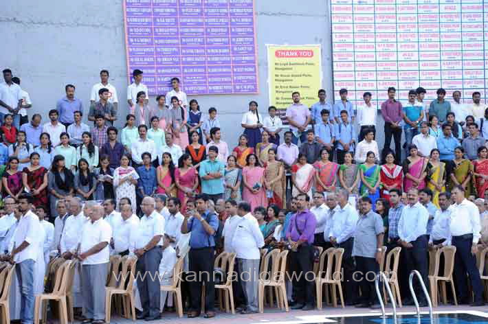 aloyuies_swimng_pool_20