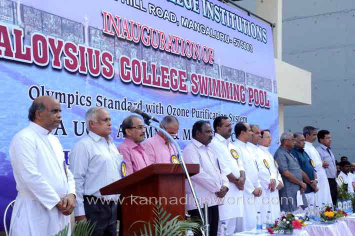 aloyuies_swimng_pool_21