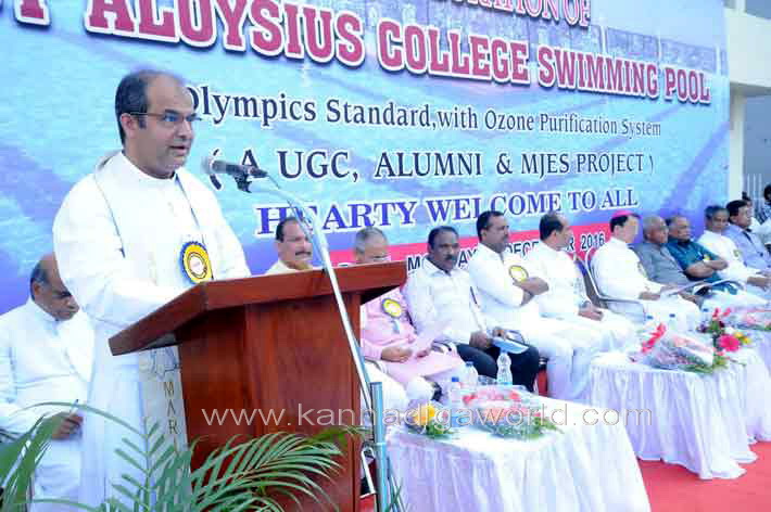 aloyuies_swimng_pool_23