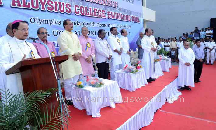 aloyuies_swimng_pool_24